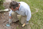 Chemical Free Termite Pest Control and Termite Inspections for Sarasota to Clearwater, Florida