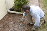 Chemical Free Termite Pest Control and Termite Inspections for Sarasota to Clearwater, Florida