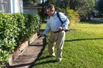 Pest Control Prevention Treatment for Your Home to Prevent Pests and Rodents in Clearwater, FL