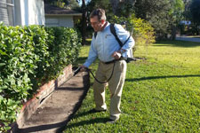 Pest Control Prevention Treatment for Your Home to Prevent Pests and Rodents in Dunedin, FL
