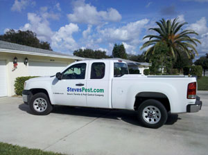 Termite Control with Steve's Termite and Pest Control in Sarasota, Florida